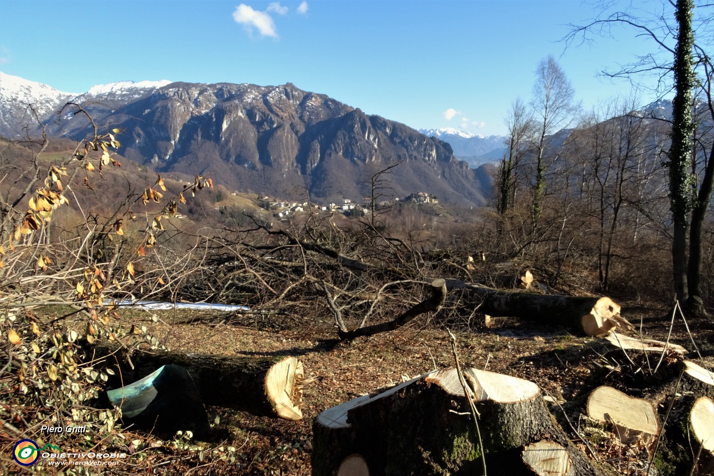 29 Taglio alberi intorno alla baita-cascina.JPG